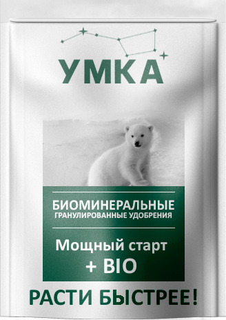 umka_concept_5_4sku%201 2