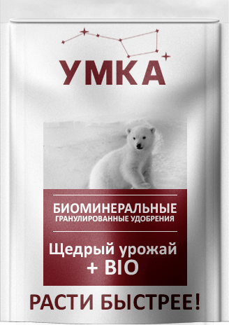 umka_concept_5_4sku%201 2