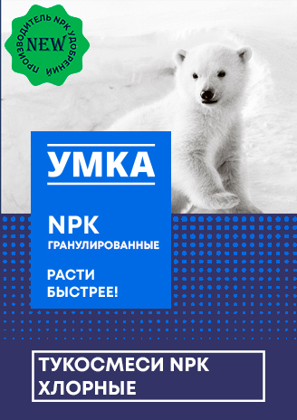 umka_concept_5_4sku%201 2