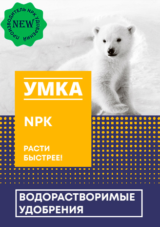 umka_concept_5_4sku%201 2