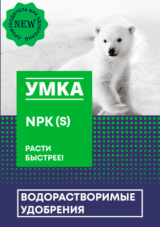 umka_concept_5_4sku%201 2